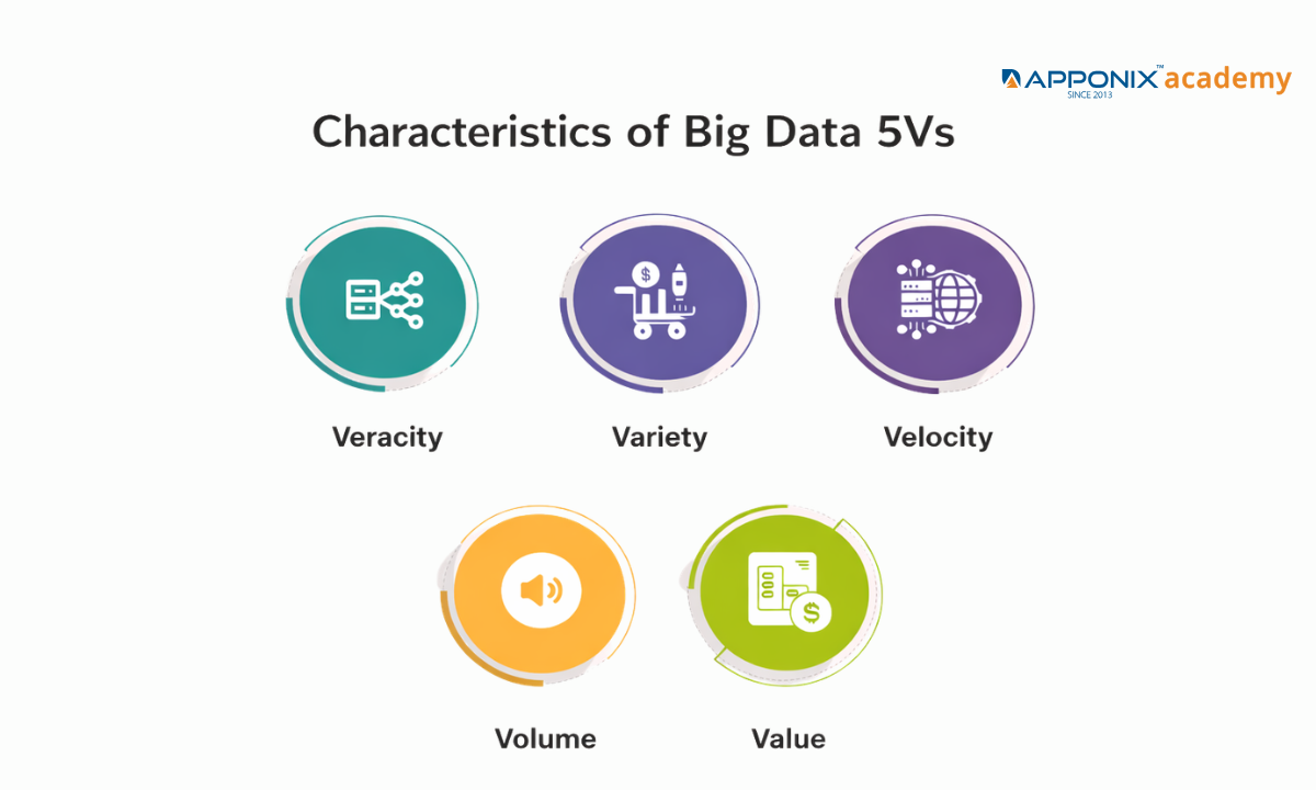 The 5 Characteristics Of Big Data 5Vs Explained With Real Examples