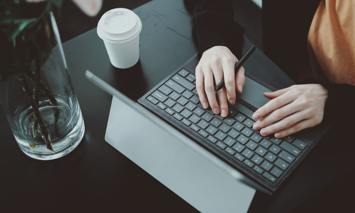 Career Roadmap From Beginner to Professional Web Designer