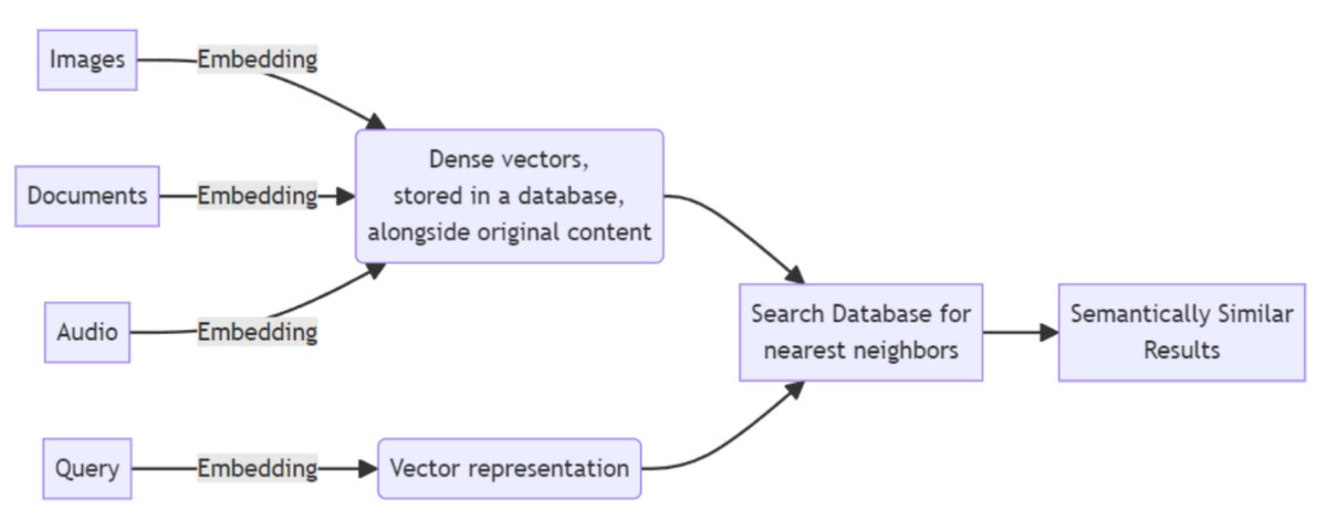 Vector Embeddings